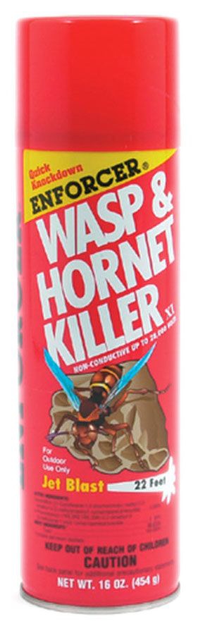Insect & Pest Control