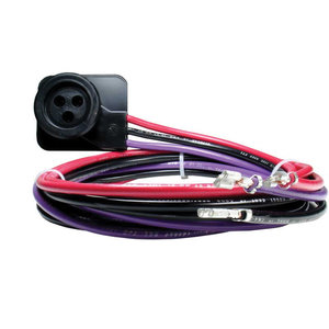 Rheem® 45-100834-80-1PK Molded Plug Wiring Harness, 10 AWG Wire, Quick-Connect