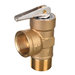 PROTECH™ RTG20326 Tankless Isolation Valve Kit, Brass