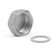 Rehau® 250209-C Circuit Outlet Cap With Gasket, Brass