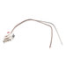 Rheem® 45-106229-02 Plug Housing Assembly