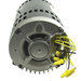 Rheem® 51-42537-01 Belt Drive Blower Motor, 3 hp Motor, 208/220/230/380-415/460 V, 3 ph, 1725 rpm Motor, 1-Speed