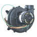Rheem® 70-24033-01 Induced Draft Blower With 68-24016-01 Gasket, 120 V, 60 Hz, 1-Stage, Polymer, Right Discharge